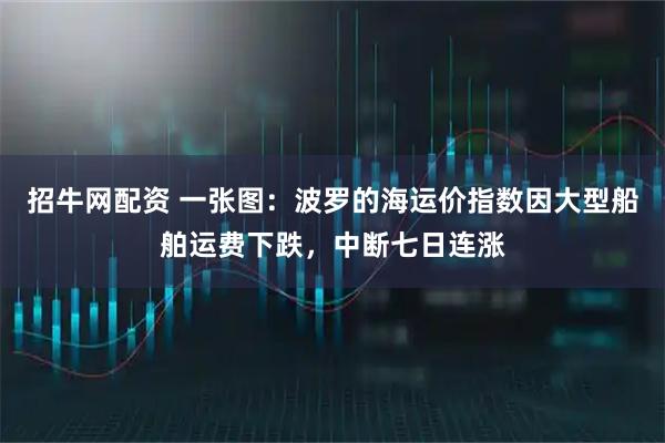 招牛网配资 一张图：波罗的海运价指数因大型船舶运费下跌，中断七日连涨
