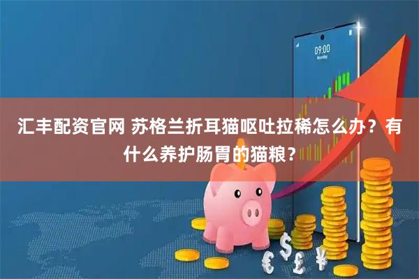 汇丰配资官网 苏格兰折耳猫呕吐拉稀怎么办？有什么养护肠胃的猫粮？