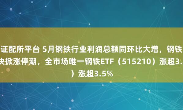 证配所平台 5月钢铁行业利润总额同环比大增，钢铁板块掀涨停潮，全市场唯一钢铁ETF（515210）涨超3.5%